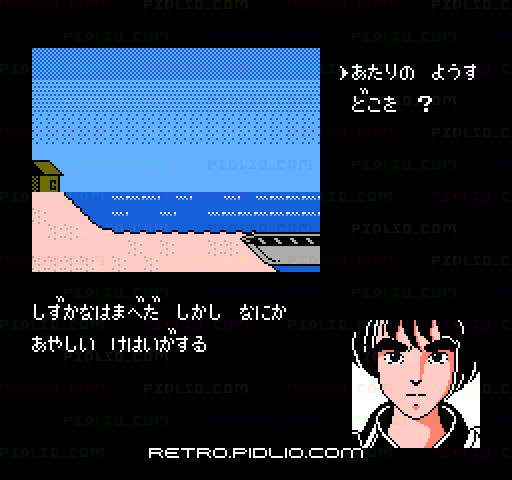 孔雀王：キャプチャ画像3 ─ pidlio.com