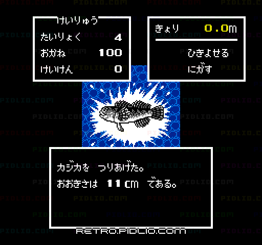 川のぬし釣り:キャプチャ画像4 ─ pidlio.com